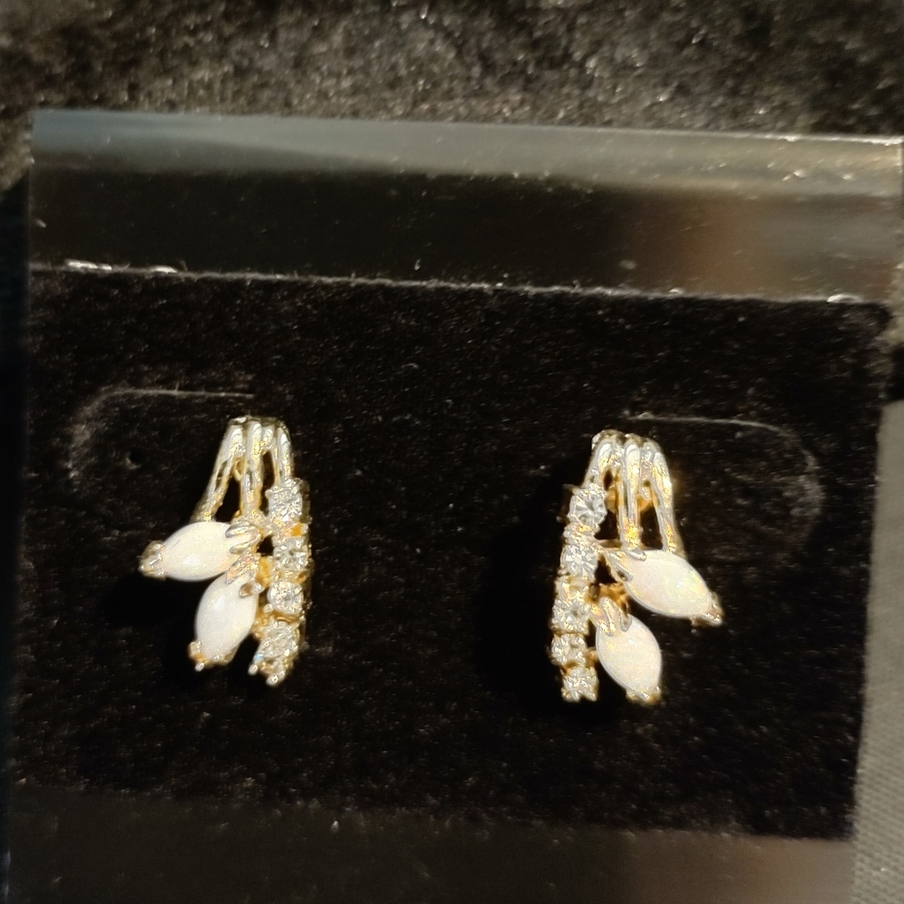 Woman's Electroplated Earrings